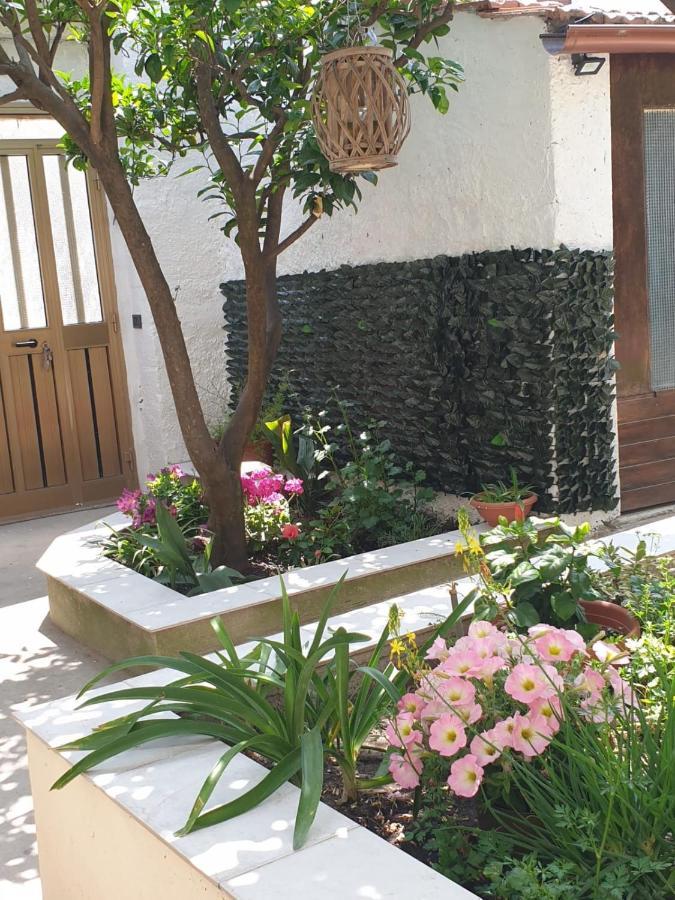 Casa Vacanze Con Giardino E Area Barbecue Martis Bagian luar foto