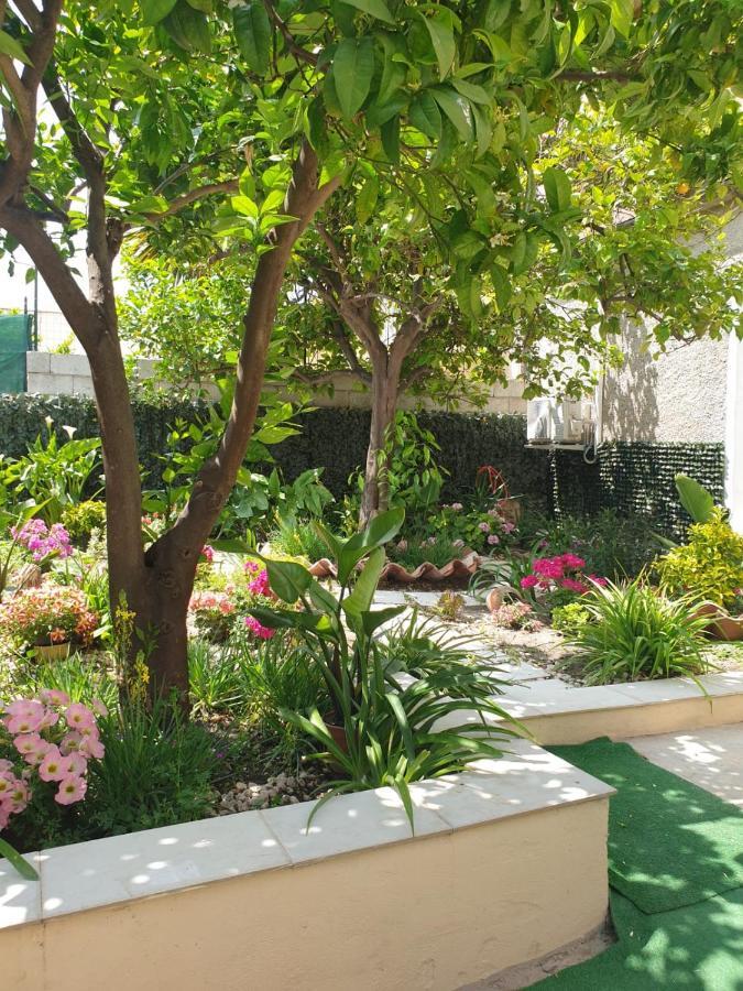 Casa Vacanze Con Giardino E Area Barbecue Martis Bagian luar foto